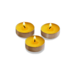 Citronella Candle